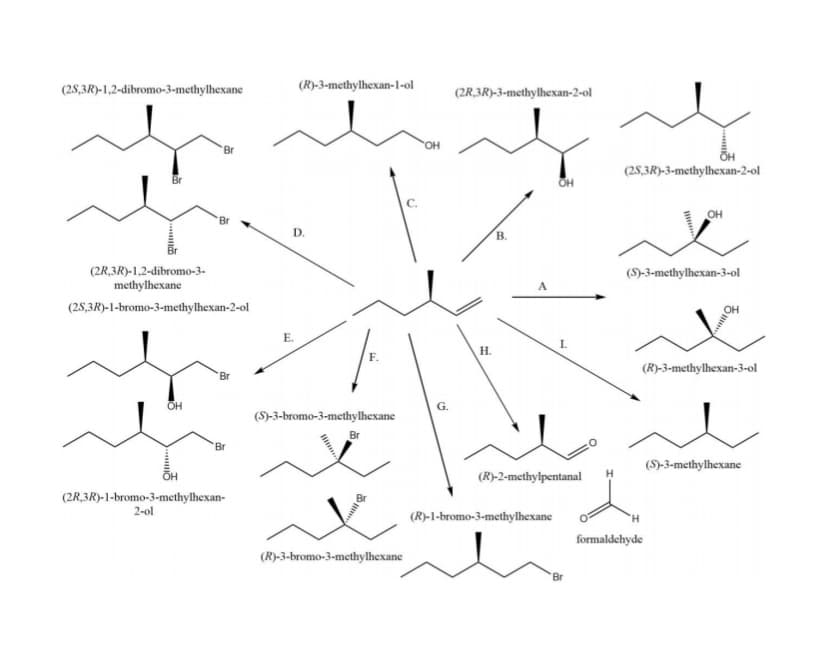 (2S,3R)-1,2-dibromo-3-methylhexane
...
Br
(2R,3R)-1,2-dibromo-3-
methylhexane
(2S,3R)-1-bromo-3-methylhexan-2-ol
OH
'Br
Br
(2R,3R)-1-bromo-3-methylhexan-
2-ol
(R)-3-methylhexan-1-ol
D.
E.
F.
(S)-3-bromo-3-methylhexane
Br
18
(R)-3-bromo-3-methylhexane
'OH
G.
(2R,3R)-3-methylhexan-2-ol
H.
B.
A
OH
(R)-1-bromo-3-methylhexane
1.
(R)-2-methylpentanal
Br
H
(2S,3R)-3-methylhexan-2-ol
OH
(S)-3-methylhexan-3-ol
(R)-3-methylhexan-3-ol
formaldehyde
(S)-3-methylhexane