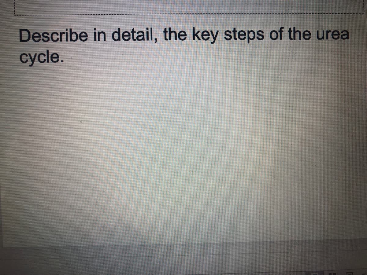 Describe in detail, the key steps of the urea
сycle.
