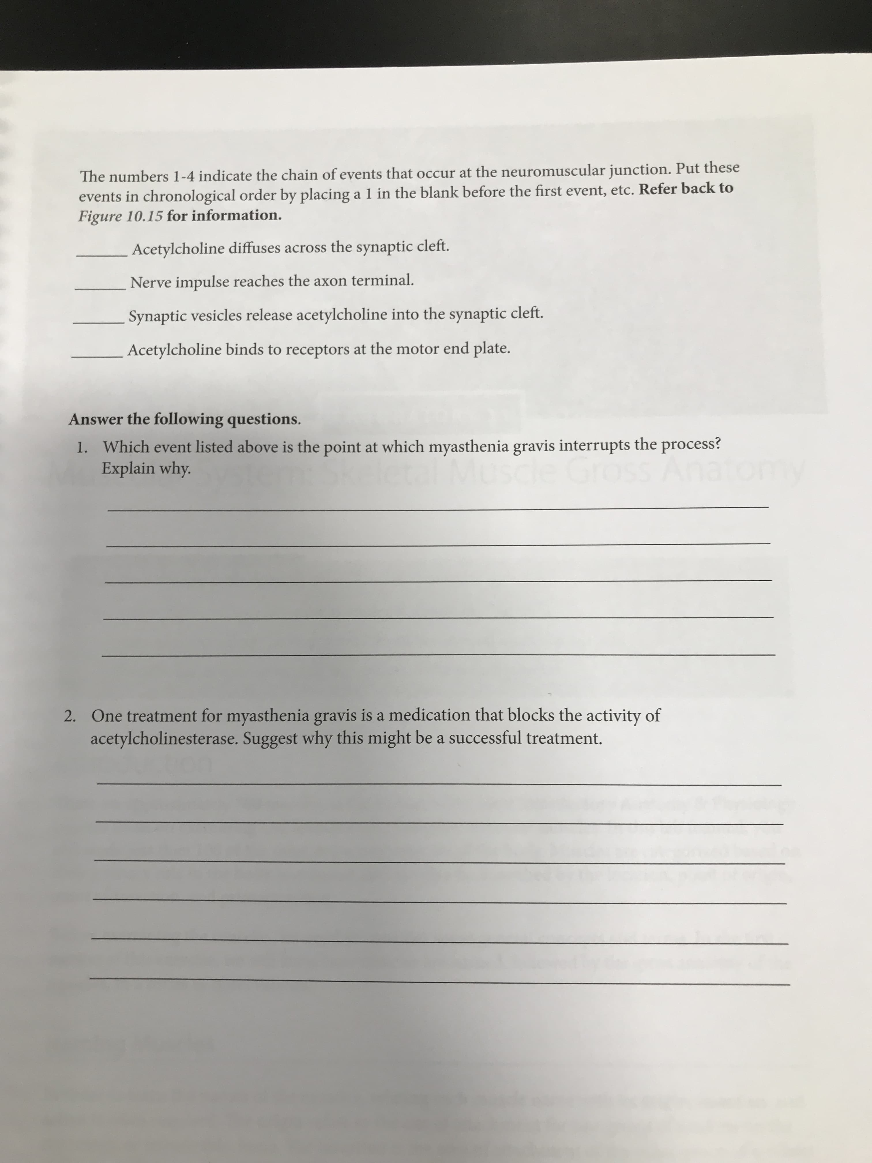 The numbers 1-4 indicate the chain of events that occur at the neuromuscular junction. Put these
events in chronological order by placing a 1 in the blank before the first event, etc. Refer back to
Figure 10.15 for information.
Acetylcholine diffuses across the synaptic cleft.
Nerve impulse reaches the axon terminal.
Synaptic vesicles release acetylcholine into the synaptic cleft.
Acetylcholine binds to receptors at the motor end plate.
Answer the following questions.
1. Which event listed above is the point at which myasthenia gravis interrupts the process?
Explain why.
2. One treatment for myasthenia gravis is a medication that blocks the activity of
acetylcholinesterase. Suggest why this might be a successful treatment.
