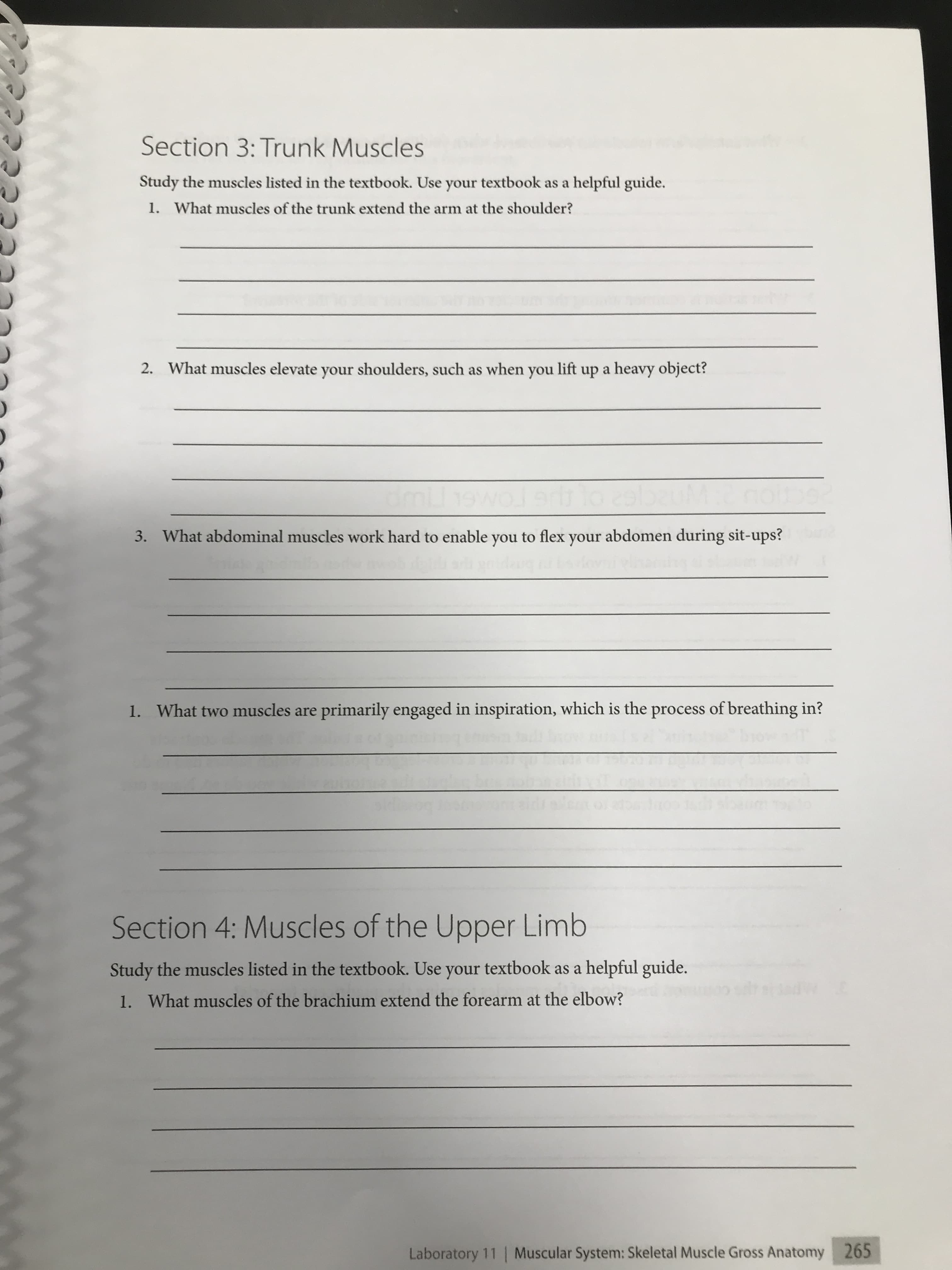 Section 3: Trunk Muscles
Study the muscles listed in the textbook. Use your textbook as a helpful guide.
1. What muscles of the trunk extend the arm at the shoulder?
2. What muscles elevate your shoulders, such as when you lift up a heavy object?
3. What abdominal muscles work hard to enable you to flex your abdomen during sit-ups?
1. What two muscles are primarily engaged in inspiration, which is the process of breathing in?
Section 4: Muscles of the Upper Limb
Study the muscles listed in the textbook. Use your textbook as a helpful guide.
1. What muscles of the brachium extend the forearm at the elbow?
Laboratory 11 | Muscular System: Skeletal Muscle Gross Anatomy 265
