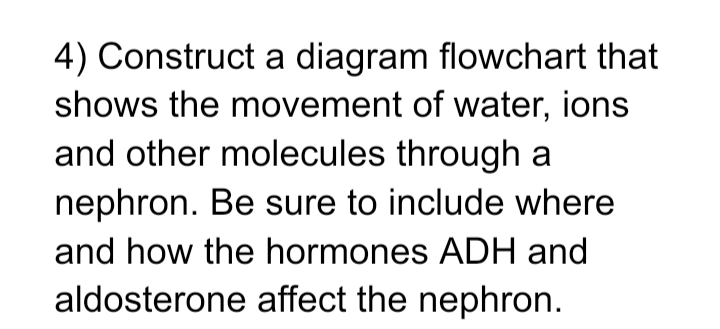 4) Construct a diagram flowchart that
shows the movement of water, ions
and other molecules through a
nephron. Be sure to include where
and how the hormones ADH and
aldosterone affect the nephron.