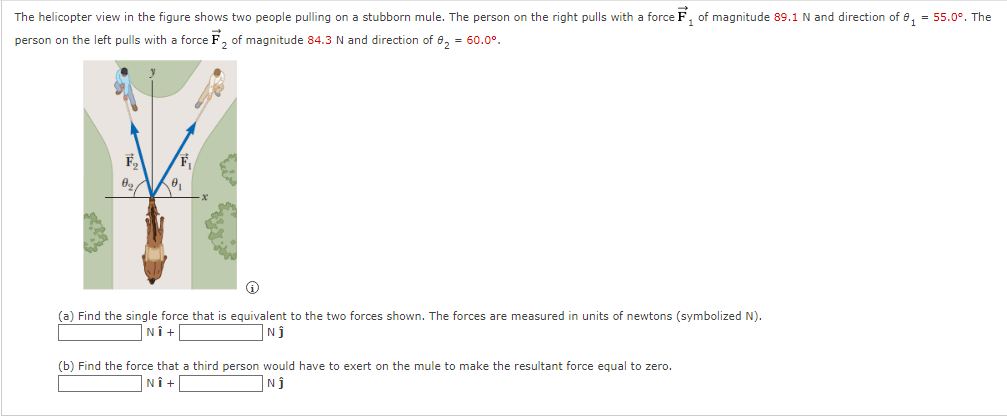 The helicopter view in the figure shows two people pulling on a stubborn mule. The person on the right pulls with a force F, of magnitude 89.1 N and direction of e, = 55.0°. The
person on the left pulls with a force F, of magnitude 84.3 N and direction of 8, = 60.0°.
F
(a) Find the single force that is equivalent to the two forces shown. The forces are measured in units of newtons (symbolized N).
NÎ +
Nj
(b) Find the force that a third person would have to exert on the mule to make the resultant force equal to zero.
NÎ +
Nj
