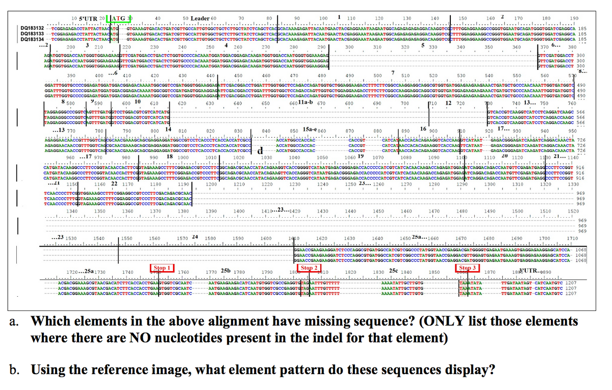 CATGATACAAGGCCCTTCCGGTACAACCACTTCGGTAGAAAGCCTTTCGGAGACCGTCCCTTOGGCAGACGCAACmI cear CA PESCA CROOngm O uaNOCIGa P L CEIC00PORMORlg mcaGccCTTCCGGT 916
10 5'UTR 20|JATG 3b
50 Leader 60
80
100
1
110
130
160 2
40
70
90
120
140
150
170
180
190
....I....I....I....I.. ..r....I........I....I....I....I....I....I........I....I....I....I....I....I....l....I....I........I....I....I.......I....I....I....I....I....I....I.........I
.1....I....
DQ183132
DQ183133
DQ183134
...2
-TCGGAGAGACTATTACTAACATG
TCGGAGAGACСТАТТАСТААФАТО
TCGGAGAGACCTATTACTAACATG
3
GTGAAAGTGACACTGATCGTTGCCATTGTGGCTGCTCTTGCTATCTCAGCTCACGCACAAAGAGATTACAATGAACTACGAGGAAATAAGAATGGCAGAGAGAGAGGACAAGGTCCCTTTGGAGGAAGGCCGGGTGGAATGCAGATGGGTGGATCGAGGCA 185
GTGAAAGTGACACTGATCGTTGCCATTGTGGCTGCTCTTGCTATCTCAGCTCACGCACAAAGAGATTACAATGAACTACGAGGAAATAAGAATGGCAGAGAGAGAGGACAAGGTCGCTTTGGAGGAAGGCCGGGTGGAATGCAGATGGGTGGATCGAGGCA 185
GTGAAAGTGACACTGATCGTTGCCATTGTGGCTGCTCTTGCTATCTCAGCTCACGCACAAAGAGATTACAATGAACTACGAGGAAATAAGAATGGCAGAGAGAGAGGACAAGGTCCCTTTGGAGGAAGGCCGGGTGGAATGCAGATGGGTGGATCGAGGCA 185
| 220
4 260
.--
200
210
230
240
250
270
280
290
300
310
320
5
330
340
350
360
370 6...
380
GTTCGATGGACCT 300
STTCGATGGACCT 300
STTCGATGGACCT 300
8...
570
1....I....
GGATTTGGTGCCCCCGGAGATGGATGGACGGAGACAAAATGGCGGTCCGATGGGTGGAAGGAGATTCGACGGACCTGGATTTGGTGGCTCCAGACCAGATGGTGCTGGAGGAAGACCTTTCTTCGGCCAAGGAGGCAGGCGTGGTGATGGAGAAGAAGAAACTGATGCTGCCCAACAAATTGGTGATGGTO 490
GGATTTGGTGCCCCGGAGATGGATGGACGGAGACAAAATGGCGGTCCGATGAGTGGAAGGAGATTCGACGGACCTGGATTTGGTGGCTCCAGACCAGTTGGTGCTGGAGGAAGACCTTTCTTCGGCCAAGGAGGCAGGCGTGGTGATGGAGAAGAAGAAACTGATGCTGCCCAACAAATTGGTGATGGTO 490
cCGGAGATGGATGGACGGAGACAAAATGGCGGTCCGATGGGTGGAAGGAGATTCGACGGACCTGGATTTGGTGGCTCCAGACCAGATGGTGCTGGAGGAAGACCTTTCTTCGGCCAAGGAGGCAGGCGTGGTGATGGAGAAGAAGAAACTGATGCTGCCCAACAAATTGGTGATGGTd 490
AGATGGTGGACCAATGGGTGGAAGAAGGTTCGATGGACCTGACTCTGGTGCCCCACAAATGGATGGACGGAGACAAGATGGTGGACCAATGGGTGGAAAGAG
AGATGGTGGACCAATGGGTGGAAGAAGGTTCGATGGACCTGACTCTGGTGCCCCACAAATGGATGGACGGAGACAAGATGGTGGACCAATGGGTGGAAGGAG
AGATGGTGGACCAATGGGTGGAAGAAGGTTCGATGGACCTGACTCTGGTGCCCCACAAATGGATGGACGGAGACAAGATGGTGGACCAATGGGTGGAAGGAG
..6
7
510
390
.I....I.
400
410
420
430
440
450
460
470
480
490
500
520
530
540
550
560
1....
1..
.1....I....l..
1......
.1....I....I..
1....I.... !....I....I..
.I.....I.
1....I.... I....I.
..I.
...I.....
...I..
GGATTTGGTO
---
8
8 580
9590
600 10
66011а-b 670
710
12 720
740 13... 750
730
GTCACCGTCAAGGTCATCCTCAGGATCAAGC 566
GTCACCGTCAAGGTCATCCTCAGGACCAAGC 566
GTCACCGTCAAGGTCATCCTCAGGACCAAGC 566
610
620
630
640
650
680
690
700
760
TAGGAGGGCCCGGTCAGTTTGATGGTCCTGGACGTCGTCATCATG
TAGGAGGGCCCGGTCAGTTTGATGGTCCTGGACGTCGTCATCATG
FAGGAGGGCCCGTOAGTTTGATGGTCCTGGACGTCGTCATCATG
...13 770
850 15а-е g60
ACCATGGCCACCAC
14
16 900
910
920 17... 930
780
790
800
810
820
830
840
870
880
890
940
1....I.... I
950
..I....I....
AGAGGAACAACCGTTIGGICACCGCAACG
AGAGGAACAACCGTTTGGTCAGCGCAACGAAAGCAGCGAGGAGGATGGCCGTCCTCACCCTCACCACCATCGCC
AGAGGAACAACCGTTTGGTCAeCGCAACGAAAGCAGCGAGGAGGATGGCCGTCCTCACCCTCACCACCATCGCO-t
. 1
GAGACGGGAGATCAAGATCAGGACAAACTA 726
1..
...I.
1.
........I.
CACCGT
CATCATAACCACACAGAAGGTCACCAAGGTCATAAT
CATCATAACCACACAGAAGGTCACCAAGTTCATAAT-
CATCATAACCACACAGAAGGTCACCAAGGTCATAAT
...
....
AAAGCAGCGAGGAGGATGGCCGTCCTCACCCTCACCACCATCGCC
ACCATGGCCACCAC
САСCGT
GAGACGGGAGATCAAGATCAGGACAAACTA 726
-ACCATGGCCACCAC
CACCGT
GAGACGGGAGATCAAGATCAGGACAAACTA 726
11bo 21... 1140
1330
....I....I....I....I....I....I.... ....I....I........I.... I....1....I....I....I....I....I....I....I....I....I....I.... ....I....I........I....I....I....I....I....I....I....I.... ....I....I
СATGATACAAGссссттссGGTACAAСCАСTTCоTAGAAAGCCTTTcGGAGACCGTCCсттфссAGACGСAАССАТАCAGAАGGTCACCGGGGTтсАТAАTGAGACGGGAGACCACCCсСАТCGTCATCACAACAAGACCAGAGATGGACATCAGGACAGACCAATGTTCGAGATGAGCессттссGGT 916
CATGATACAAGGCCCTTCCGGTACAACCACTTCcCGTAGAAAGCCTTTCGGAGACCGTCCCTTCGGCAGACGCAACCATACAGAAGTTCACCAGGGTCATAATGAGACGGGAGACCACCCCCATCGTCATCACAACAAGACCAGAGATGGAGATCAGGACAGACCAATGTTCGAGATGAGCcCCTTCCGGT 916
САTGATACAAGGCCCтTCCGGTАCAACCАСТТCсеTAGAAAGCCтттсGGAGACCGтCСсттоGCAGACGCAACCAТАCAGAAGGTCАСCAGGGTCATААTGAGACGGGАGACCACCCCCAТСGTCATCACAАCAAGACCAGAGATGGACTCAGGACAGACCAAТСттCGAGATGAGCCCСттссGGT 916
960 ...17 970
980
990
18 1000
1010
1020
1030
1040
1050
1060 19
1070
1080
1090
1100
1110 20 1120
...21
1150
1160
22 1170
1180
1190
1200
1210
1220
1230
1240
1250 23... 1260
1270
1280
1290
1300
1310
1320
TCAACCCCTTCGGTGGAAAGCCTTTCGGAGGCCGTCCCTTCGACAGACGCAAC
TCAACCCCTTTGGTAGAAAGCCTTTCGGAGGCCGTCCCTTCGACAGACGCAAC
TCAACCCCTTCGGTAGAAAGCCTTTCGGAGGCCGTCCCTTCGACAGACGCAAC
969
969
969
1340
1350
1360
1370
1380
1390
1400
1410..23...1420
1430
1440
1450
1460
1470
1480
1490
1500
1510
1520
....I....I....
1.
1....I
1....
....
969
969
969
...23 1530
1570 24
1..
1540
1650 25a...1660
1910
. ..J.......]........|................|....|....|....|....J....|....|........|........|
GGAACCGAAGAAGGATCTCCCAGGCGTGATGGCCATCGTCGGCCCTATGGTAACCGAGGACGATGGGGTGAGAATGAAAGTGAGGAGAAGGAGCATCCA- 1068
GGAACCGAAGAAGGATCTCCCAGGCGTGATGGCCATCGTCGGCCcCTATGGTAACCGAGGACGTTGGAGTGAGAATGAAAGTGAGGAGAAGGAGCATCCA- 1068
GGAACCGAAGAAGGATCTCCCAGGCGTGATGGCCATCGTCGGCCCTATGGTAACCGAGGACGATGGGGTGAGAATGAAAGTGAGGAGAAGGAGCATCCA- 1068
1550
1560
1580
1590
1600
1620
1630
1640
1670
1680
1690
1700
1710
..L...
.|....|.….
Stop 1
Stop 2
18de
Stop 3
18UTR..pe90
1770 25b 1780
1830 25c 1840
....|....|....|...|.... |..].…..
1720...25a1730
1740
1760
1790
810
1820
1850
1870
-...]..
....|....|....|....|.... |..]. |....|........J....|....|....|....|....|....|.... |.
ACGACGGAAAGCGTAACGACATCTTCACCACCTGAAGTGGTCGCAATC------
ACGACGGAAAGCGTAACGACATCTTCACCACCTGAAGTGGTCGCAATC-
ACGACGGAAAGCGTAACGACATCTTCACCACCTGAAGTGGTCGCAATC
AATGAAGAAGACATCAATGTGGTCGCCGAGGTGTAGAATTTGTTTTT-
AATGAAGAAGACATCAATGTGGTCGCCGAGGTGTAGAATTTGTTTTT-
AATGAAGAAGACATCAATGTGGTCGCCGAGGTGTAGAATTTGTT
-1.......|....|....|....|....|....|.
TARATATA
TAPATATA
TAATATA
AAAATATTGCTTGTG
TTGATAATAGT-CATCAATGTC 1207
TTGATAATAGT-CATCAATGTC 1207
TTGATAATAGT-CATCAATGTC 1207
-AAAATATTGCTTGTG
AAAATATTGCTTGTG
missing sequence?
in the indel for that element)
a. Which elements in the above alignment have missing sequence? (ONLY list those elements
а.
where there are NO nucleotides present
b. Using the reference image, what element pattern do these sequences display?
