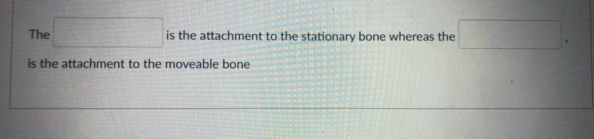 The
is the attachment to the stationary bone whereas the
is the attachment to the moveable bone
