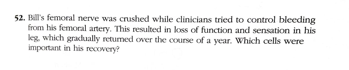 52. Bill's femoral nerve was crushed while clinicians tried to control bleeding
from his femoral artery. This resulted in loss of function and sensation in his
leg, which gradually returned over the course of a year. Which cells were
important in his recovery?
