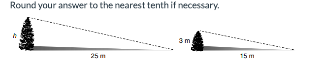 Round your answer to the nearest tenth if necessary.
h
25 m
3m
15 m