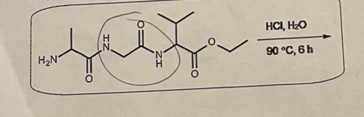 H₂N
H
N.
N
HCI, H₂O
90 °C, 6h