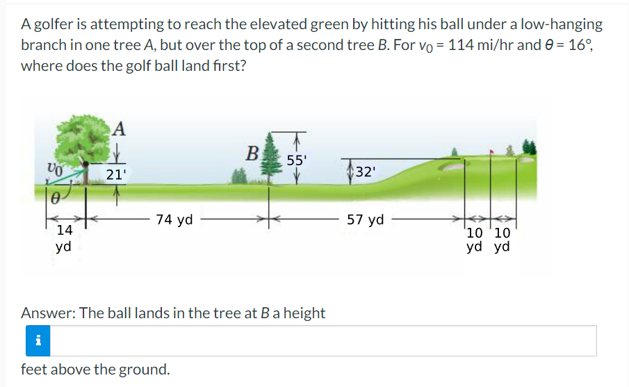 A golfer is attempting to reach the elevated green by hitting his ball under a low-hanging
branch in one tree A, but over the top of a second tree B. For vo = 114 mi/hr and e = 16°,
where does the golf ball land first?
B.
55'
32'
21'
74 yd
57 yd
'10 '10
yd yd
14
yd
Answer: The ball lands in the tree at Ba height
i
feet above the ground.
