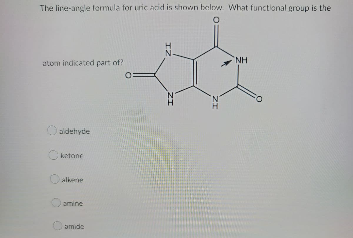 The line-angle formula for uric acid is shown below. What functional group is the
atom indicated part of?
O aldehyde
O ketone
O alkene
O amine
Oamide
IZ
ZI
ZI
NH
O