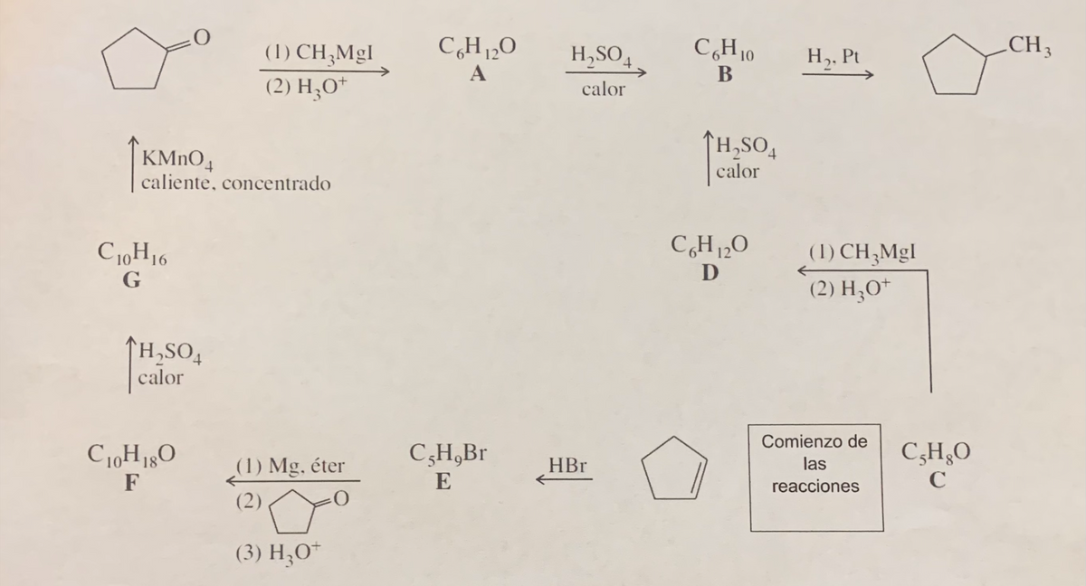 (1) CH;Mgl
(2) H;O*
C,H1,0
A
C,H10
CH3
H,SO4
H. Pt
В
calor
KMNO4
caliente, concentrado
↑H,SO,
calor
(1) CH,Mgl
(2) H;O*
C10H16
G
↑H,SO,
calor
Comienzo de
C10H180
C;H,Br
C;H¿O
(1) Mg, éter
HBr
las
F
E
reacciones
C
(2)
(3) H;O*
