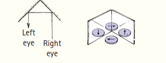 Left
eye Right
eye
