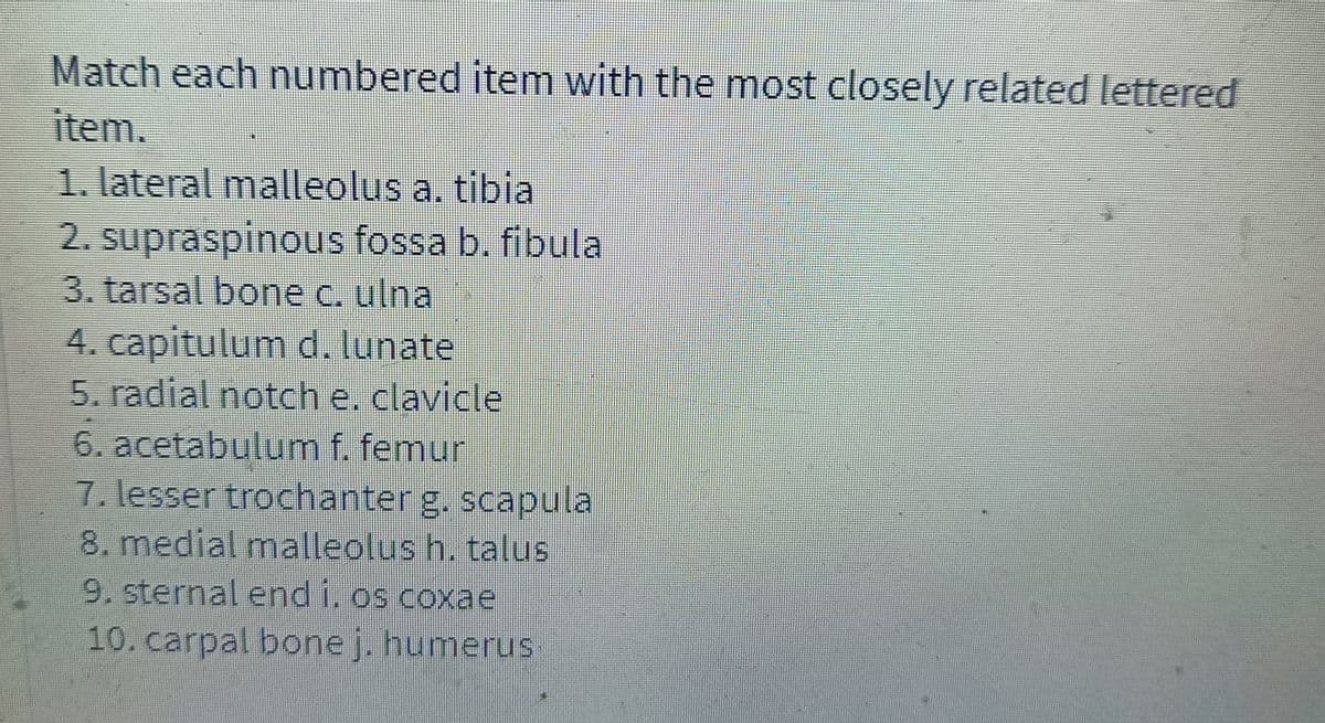 Match each numbered item with the most closely related lettered
item.
1. lateral malleolus a. tibia
2. supraspinous fossa b. fibula
3. tarsal bone c. ulna
4. capitulum d. lunate
5. radial notch e. clavicle
6. acetabulum f. femur
7. lesser trochanter g. scapula
8. medial malleolus h, talus
9. sternal end i. os coxae
10. carpal bone j. humerus