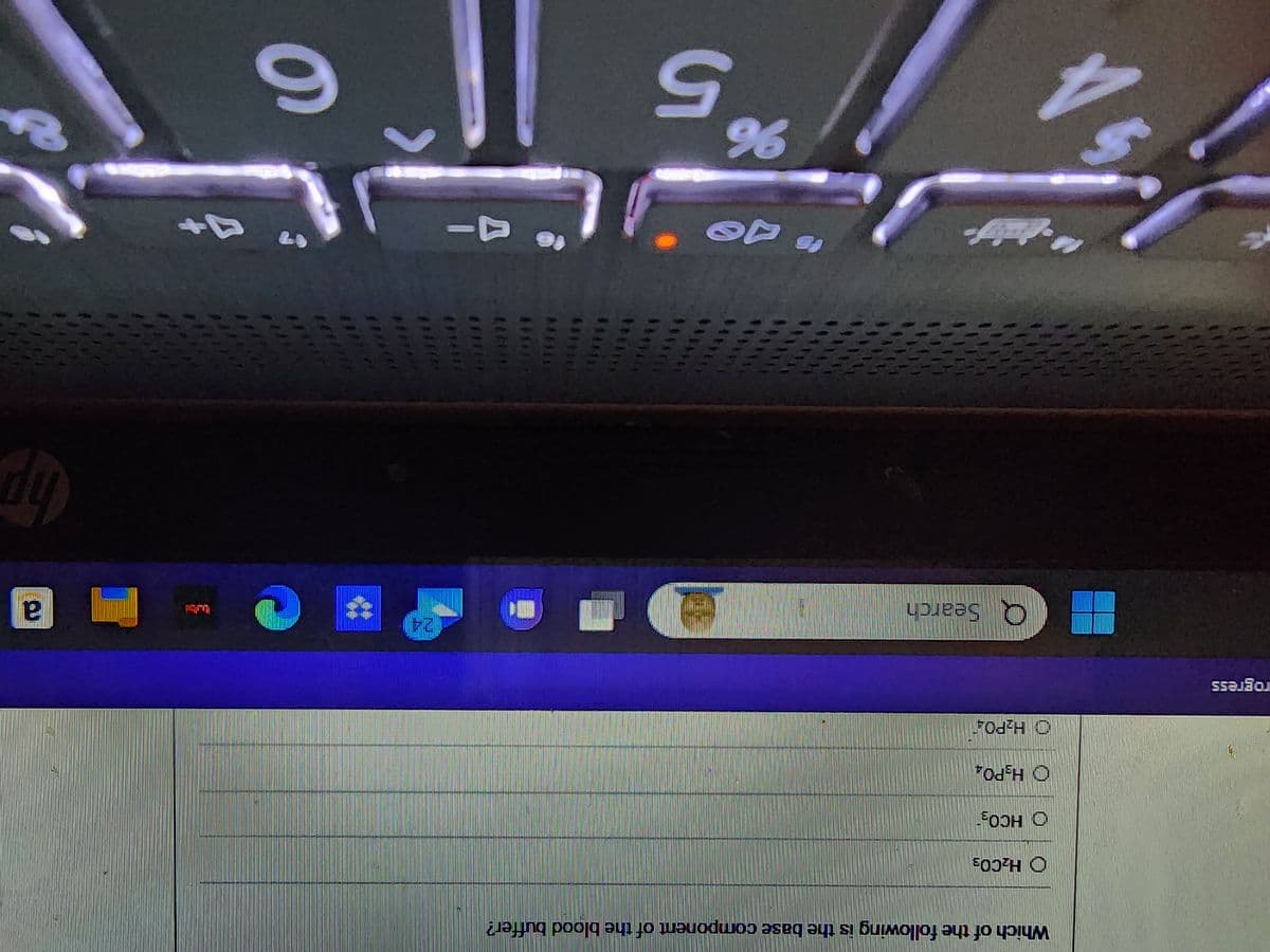 rogress
Which of the following is the base component of the blood buffer?
H₂CO3
OHCO3
O H₂PO4
H₂PO4
Q Search
新鮮
"de
%6
5
to A-
C
"4+
6
a
hp
&
