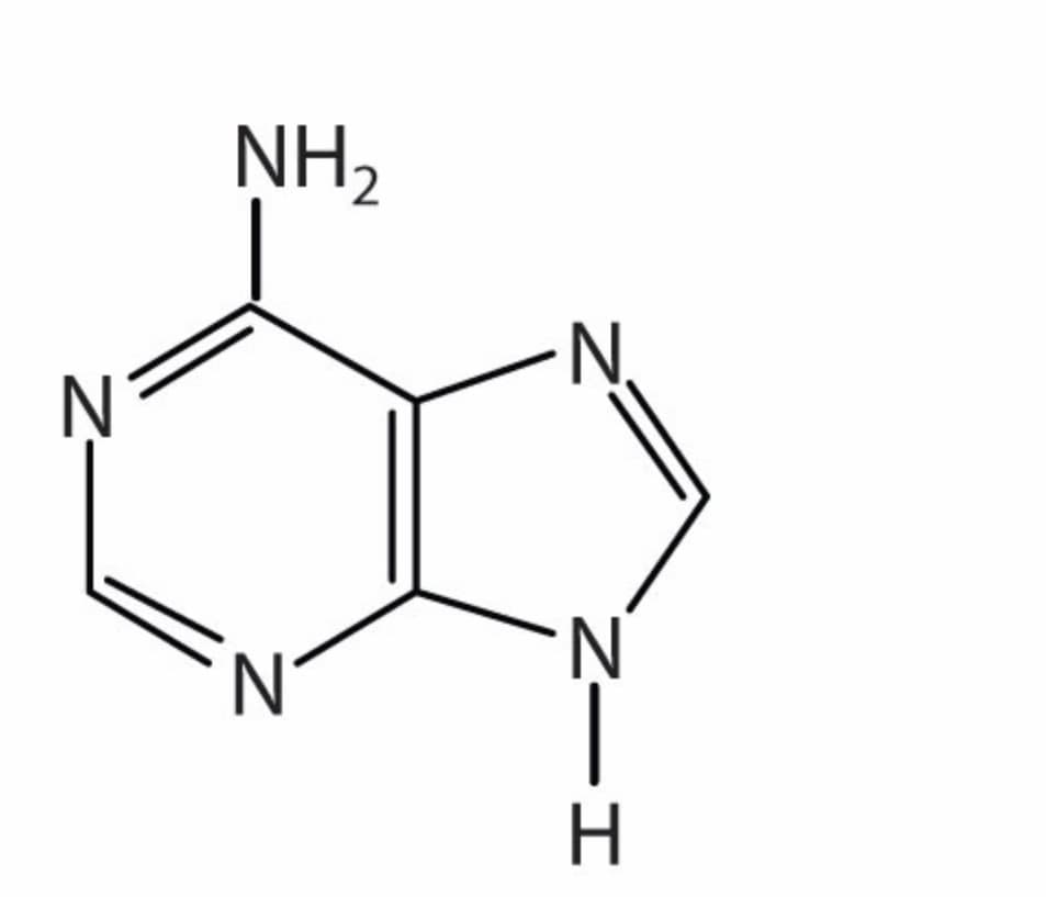 NH2
Ņ
N'
N
H.
Z-I
