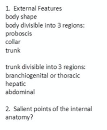 1. External Features
body shape
body divisible into 3 regions:
proboscis
collar
trunk
trunk divisible into 3 regions:
branchiogenital or thoracic
hepatic
abdominal
2. Salient points of the internal
anatomy?
