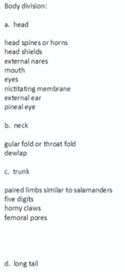 Body division:
a. head
head spines or horns
head shields
external nares
mouth
eyes
nictitating membrane
external ear
pineal eye
b. neck
gular fold or throat fold
dewlap
c. trunk
paired limbs similar to salamanders
five digits
homy claws
femoral pores
d. long tail
