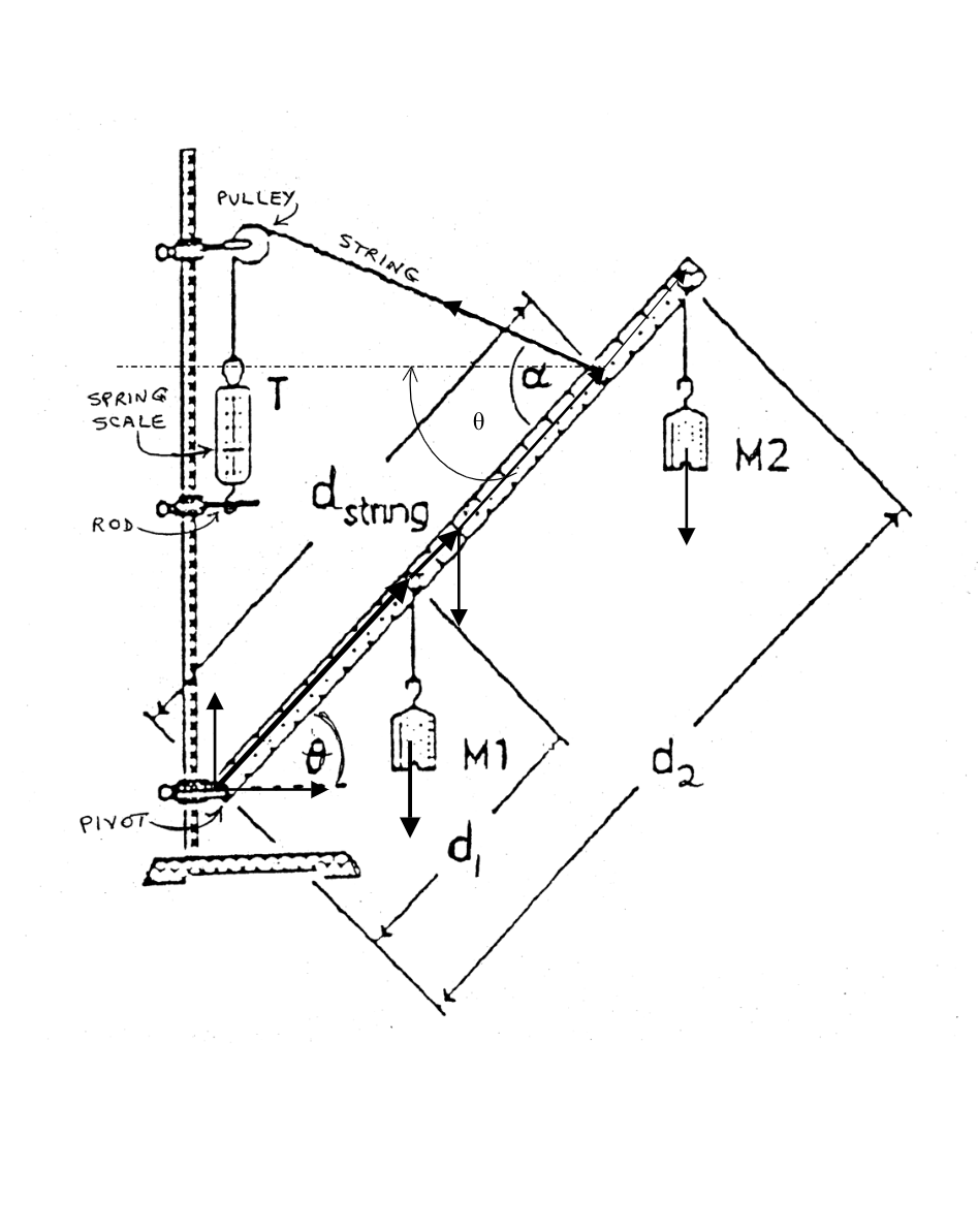 PULLEY
STRING
SPRING
SCALE
M2
dgtring
ROD.
da
M1
PIVOT
