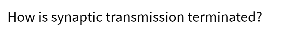 How is synaptic transmission terminated?
