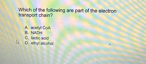 Which of the following are part of the electron
transport chain?
A. acetyl COA
B. NADH
C. lactic acid
D. ethyl alcohol