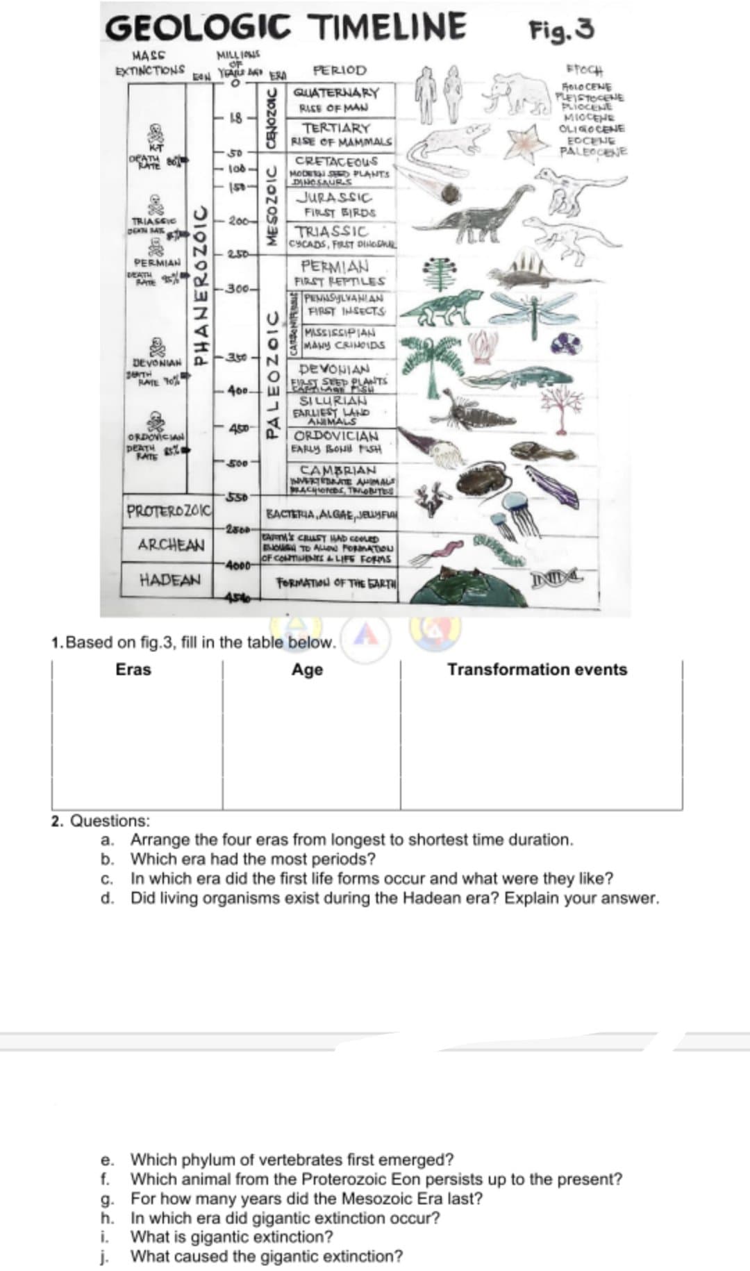 GEOLOGIC TIMELINE
Fig.3
MASE
EXTINCTIONS
YEAU I
PERIOD
ETOCH
ERA
RoLO CENE
PLEISTOCENE
GUATERNARY
RISS OF MAN
18
TERTIARY
RISE OF MAMMALS
MIOCENE
OLIGOCENE
EOCENE
PALEOCENE
50
CRETACEOU
MODE SD PLANTS
DANOSAURS
ATE
JURASSIC
FIRST BIRDS
TRIASSIE
200
TRIASSIC
CYCADS, FRST DIHOL
250
DEATH
RAE 2
PERMIAN
FIRST REPTILES
300-
PEMASYLVANIAN
FIRST INSECTS
MASSISSIPIAN
MANY CRINOIDS
DEVONIAN A
350
DEVONIAN
ES SUEP PULANTS
RATE T0
w LE LAe S
SI LURIAN
FARLIEST LAND
ANIMALS
40.
ORDOVICIAN
DEATH
RATE
EARLY BOHU SH
500
CAMBRIAN
NERTÉE AMAL
MACHIOrDE TOTES
S50
PROTEROZOIC
BACTERIA ALGAE, JESFA
250-
CAPS CRUST HAD ceLED
BOA TO ALin ForanATIOu
OF CONTENTE LIFE FORMS
ARCHEAN
4000
HADEAN
FORMATION OFTHE ART
4546
1.Based on fig.3, fill in the table below.
Eras
Age
Transformation events
2. Questions:
a. Arrange the four eras from longest to shortest time duration.
b. Which era had the most periods?
c. In which era did the first life forms occur and what were they like?
d. Did living organisms exist during the Hadean era? Explain your answer.
e. Which phylum of vertebrates first emerged?
f.
Which animal from the Proterozoic Eon persists up to the present?
g. For how many years did the Mesozoic Era last?
h. In which era did gigantic extinction occur?
i.
What is gigantic extinction?
j. What caused the gigantic extinction?
PHANEROZOIC
PALEOZOIC
MESOZOIC CENOZOIC
