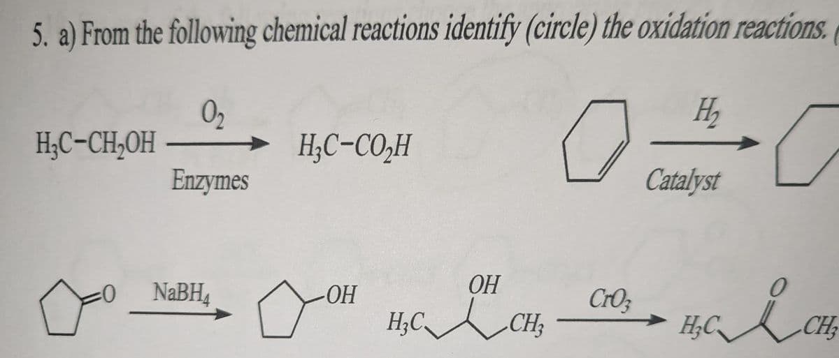 5. a) From the following chemical reactions identify (circle) the oxidation reactions
H₂C-CH₂OH
:0
0₂
Enzymes
NaBH4
HỌC-CO,H
OH
OH
H₂C CH₂
CrO3
H₂
Catalyst
0
H₂Cl CH₂