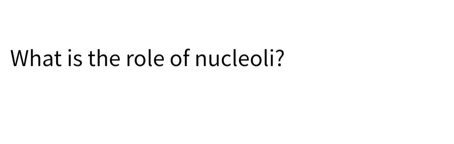 What is the role of nucleoli?
