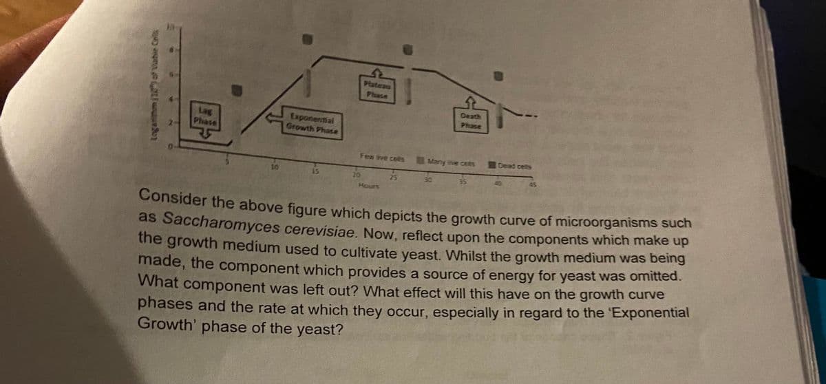 Plateau
Phase
Death
Lag
Phase
Exponential
Growth Phase
Phase
Fen ve cels
Many ive cets
Dead cells
10
15
20
25
30
35
40
45
Hours
Consider the above figure which depicts the growth curve of microorganisms such
as Saccharomyces cerevisiae. Now, reflect upon the components which make up
the growth medium used to cultivate yeast. Whilst the growth medium was being
made, the component which provides a source of energy for yeast was omitted.
VWhat component was left out? What effect will this have on the growth curve
phases and the rate at which they occur, especially in regard to the 'Exponential
Growth' phase of the yeast?
Loganmm/10of Vahie Cels
