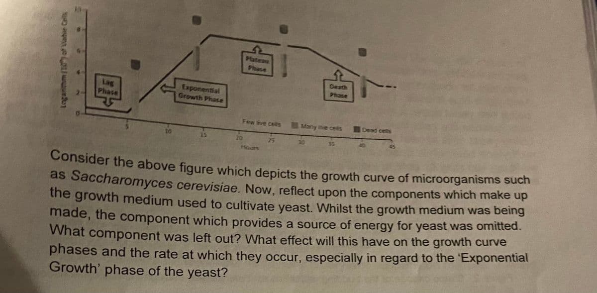 Plateau
Phase
Death
Phase
Lag
Phase
Exponential
Growth Phase
Fen ve cels
Many ihve cets
Dead cells
10
15
20
25
30
35
45
Hours
Consider the above figure which depicts the growth curve of microorganisms such
as Saccharomyces cerevisiae. Now, reflect upon the components which make up
the growth medium used to cultivate yeast. Whilst the growth medium was being
made, the component which provides a source of energy for yeast was omitted.
What component was left out? What effect will this have on the growth curve
phases and the rate at which they occur, especially in regard to the 'Exponential
Growth' phase of the yeast?
Loganmm/10of Vahie Cels

