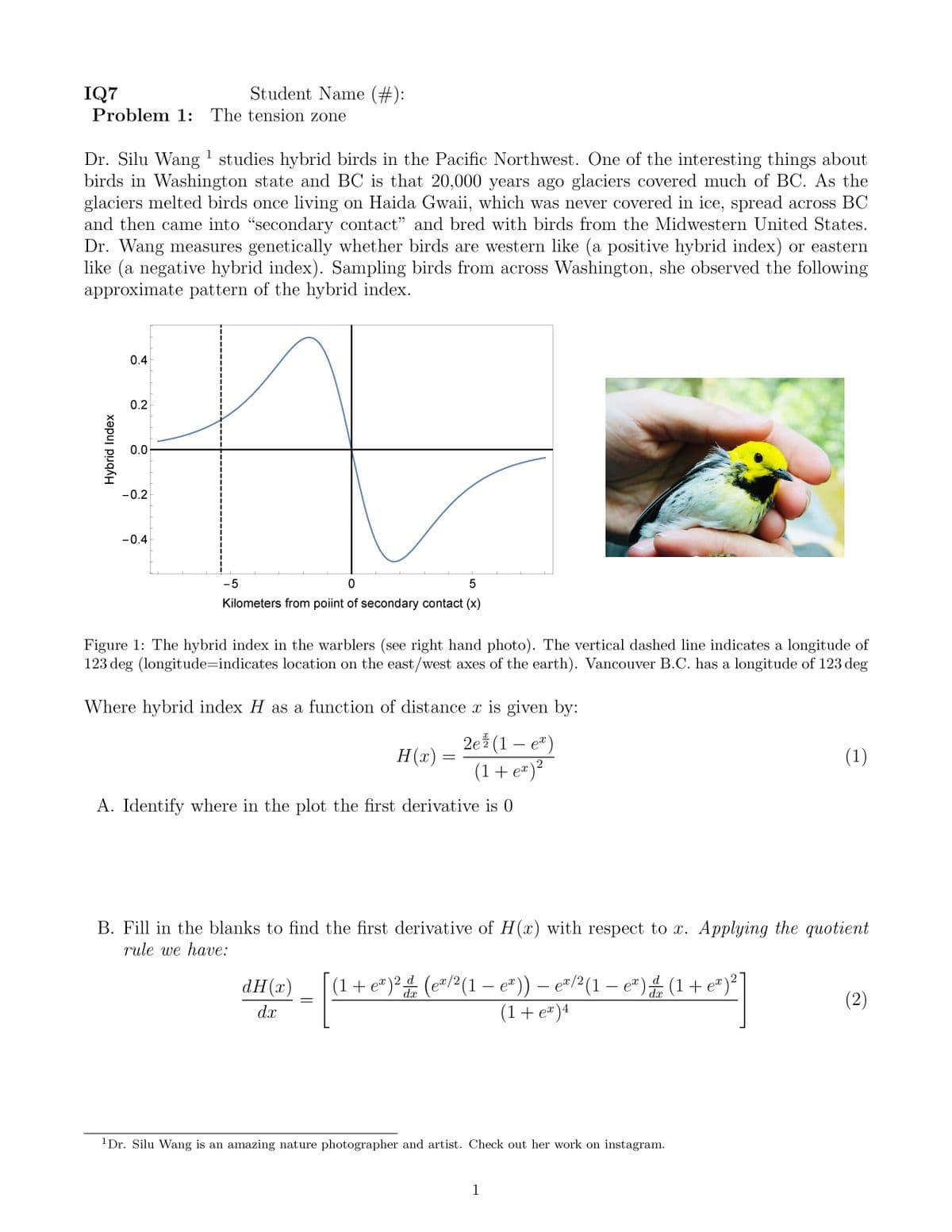 Student Name (#):
IQ7
Problem 1: The tension zone
Dr. Silu Wang ' studies hybrid birds in the Pacific Northwest. One of the interesting things about
birds in Washington state and BC is that 20,000 years ago glaciers covered much of BC. As the
glaciers melted birds once living on Haida Gwaii, which was never covered in ice, spread across BC
and then came into "secondary contact" and bred with birds from the Midwestern United States.
Dr. Wang measures genetically whether birds are western like (a positive hybrid index) or eastern
like (a negative hybrid index). Sampling birds from across Washington, she observed the following
approximate pattern of the hybrid index.
0.4
0.2
0.0
-0.2
-0.4
-5
5
Kilometers from poiint of secondary contact (x)
Figure 1: The hybrid index in the warblers (see right hand photo). The vertical dashed line indicates a longitude of
123 deg (longitude=indicates location on the east/west axes of the earth). Vancouver B.C. has a longitude of 123 deg
Where hybrid index H as a function of distance x is given by:
2e2 (1 – e)
H(x) =
(1)
(1+ e*)²
A. Identify where in the plot the first derivative is 0
B. Fill in the blanks to find the first derivative of H(x) with respect to x. Applying the quotient
rule we have:
(1+e*)² & – e"/²(1 – e") (1+ e")?
e#/2(1 –
d
(e"/2(1 – e"))
(1+ ea)4
d
dH (х)
x\2
dx
1 – e") (1+ e")²
dx
(2)
dx
'Dr. Silu Wang is an amazing nature photographer and artist. Check out her work on instagram.
1
Hybrid Index
