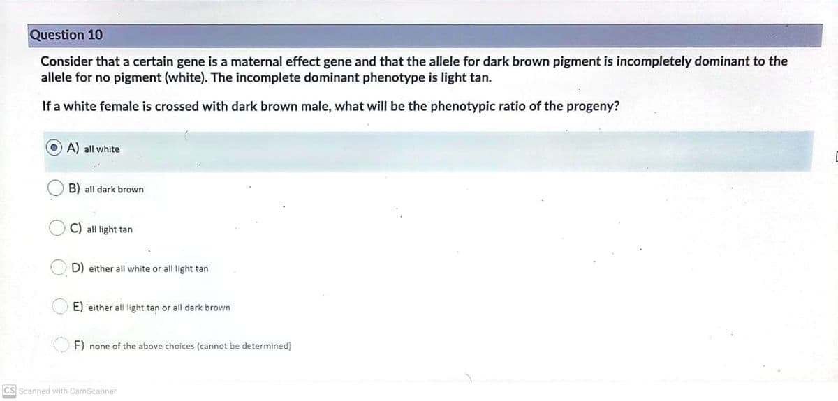 Question 10
Consider that a certain gene is a maternal effect gene and that the allele for dark brown pigment is incompletely dominant to the
allele for no pigment (white). The incomplete dominant phenotype is light tan.
If a white female is crossed with dark brown male, what will be the phenotypic ratio of the progeny?
A) all white
B) all dark brown
C) all light tan
D) either all white or all light tan
E) 'either all light tan or all dark brown
F) none of the above choices (cannot be determined)
CS Scanned with CamScanner
