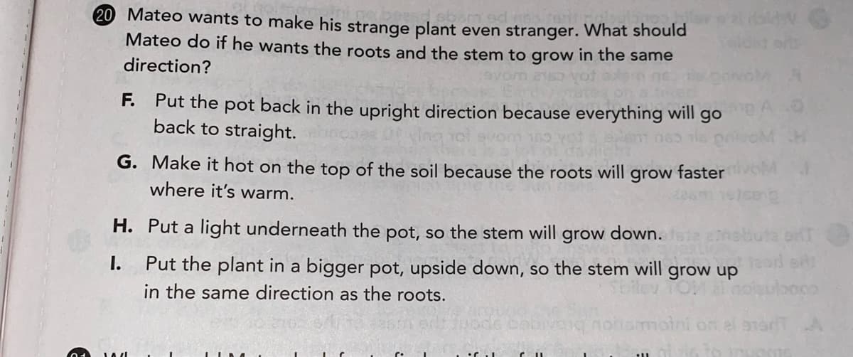 20 Mateo wants to make his strange plant even stranger. What should
Insater
Mateo do if he wants the roots and the stem to grow in the same
direction?
F.
Put the pot back in the upright direction because everything will
back to straight.
go
G. Make it hot on the top of the soil because the roots will grow faster
where it's warm.
H. Put a light underneath the pot, so the stem will
grow
down.
I.
Put the plant in a bigger pot, upside down, so the stem will grow up
in the same direction as the roots.
