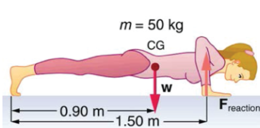 m = 50 kg
CG
Freaction
0.90 m
1.50 m
