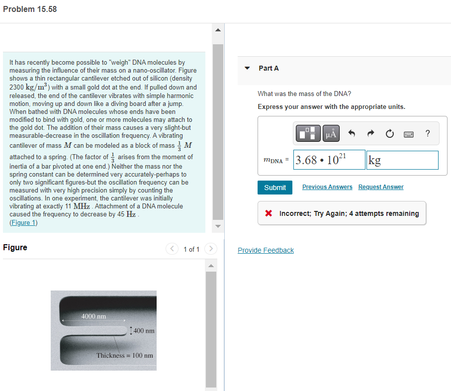 Problem 15.58
It has recently become possible to "weigh" DNA molecules by
measuring the influence of their mass on a nano-oscillator. Figure
shows a thin rectangular cantilever etched out of silicon (density
2300 kg/m³) with a small gold dot at the end. If pulled down and
released, the end of the cantilever vibrates with simple harmonic
motion, moving up and down like a diving board after a jump.
When bathed with DNA molecules whose ends have been
modified to bind with gold, one or more molecules may attach to
the gold dot. The addition of their mass causes a very slight-but
measurable-decrease in the oscillation frequency. A vibrating
cantilever of mass M can be modeled as a block of mass M
attached to a spring. (The factor of arises from the moment of
inertia of a bar pivoted at one end.) Neither the mass nor the
spring constant can be determined very accurately-perhaps to
only two significant figures-but the oscillation frequency can be
measured with very high precision simply by counting the
oscillations. In one experiment, the cantilever was initially
vibrating at exactly 11 MHz. Attachment of a DNA molecule
caused the frequency to decrease by 45 Hz.
(Figure 1)
Figure
4000 nm
1400 nm
Thickness 100 nm
=
1 of 1
Part A
What was the mass of the DNA?
Express your answer with the appropriate units.
MDNA3.68 10²¹
●
kg
Provide Feedback
www.
Submit Previous Answers Request Answer
* Incorrect; Try Again; 4 attempts remaining
?