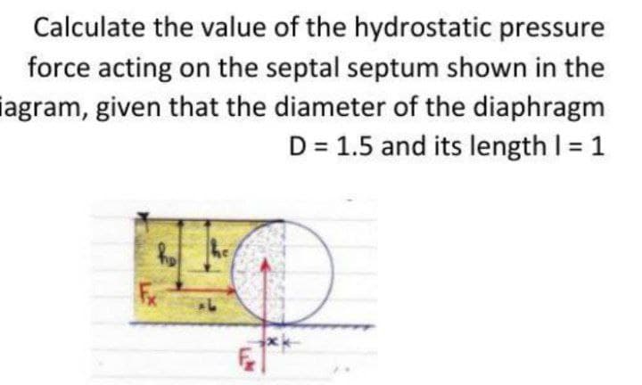 Calculate the value of the hydrostatic pressure
force acting on the septal septum shown in the
iagram, given that the diameter of the diaphragm
D = 1.5 and its length I = 1
he
