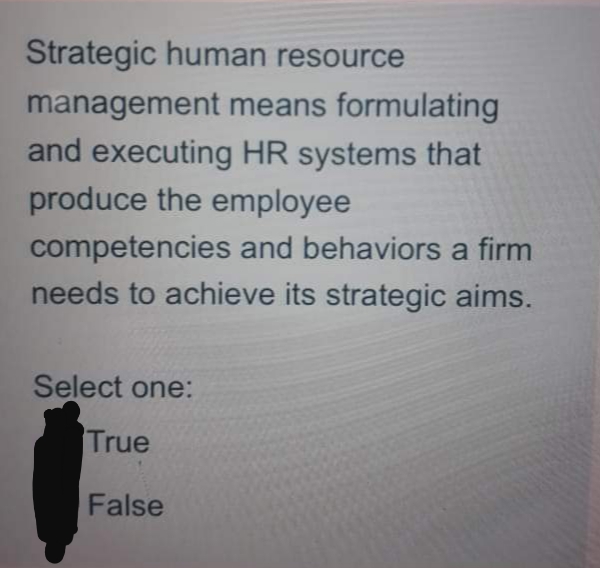 Strategic human resource
management means formulating
and executing HR systems that
produce the employee
competencies and behaviors a firm
needs to achieve its strategic aims.
Select one:
True
False
