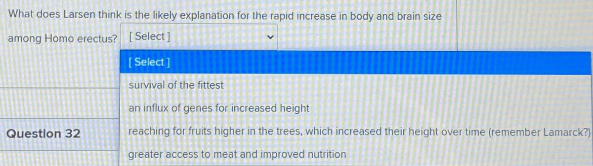 What does Larsen think is the likely explanation for the rapid increase in body and brain size
among Homo erectus? [Select]
[ Select ]
survival of the fittest
an influx of genes for increased height
Question 32
reaching for fruits higher in the trees, which increased their height over time (remember Lamarck?)
greater access to meat and improved nutrition
