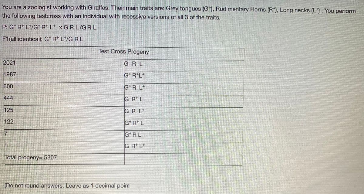 You are a zoologist working with Giraffes. Their main traits are: Grey tongues (G*), Rudimentary Horns (R*), Long necks (L*). You perform
the following testcross with an individual with recessive versions of all3 of the traits.
P: G* R* L/G*R* L* x GRL/GRL
F1(all identical): G* R* L*/G R L
Test Cross Progeny
2021
GRL
1987
G* R*L*
600
G*R L*
444
G R L
125
GR L
122
G*R* L
17
G RL
1
G R L*
Total progeny3 5307
(Do not round answers. Leave as 1 decimal point
