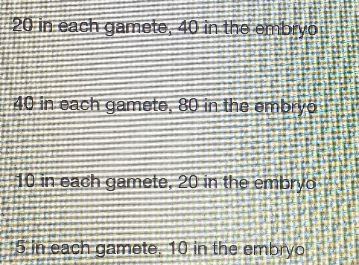 20 in each gamete, 40 in the embryo
40 in each gamete, 80 in the embryo
10 in each gamete, 20 in the embryo
5 in each gamete, 10 in the embryo
