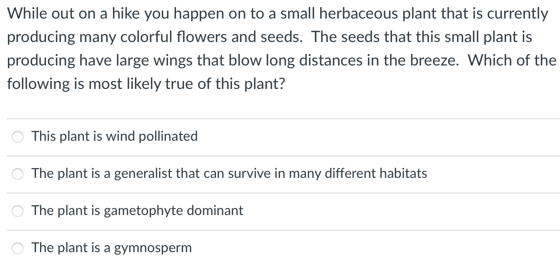While out on a hike you happen on to a small herbaceous plant that is currently
producing many colorful flowers and seeds. The seeds that this small plant is
producing have large wings that blow long distances in the breeze. Which of the
following is most likely true of this plant?
This plant is wind pollinated
The plant is a generalist that can survive in many different habitats
The plant is gametophyte dominant
The plant is a gymnosperm

