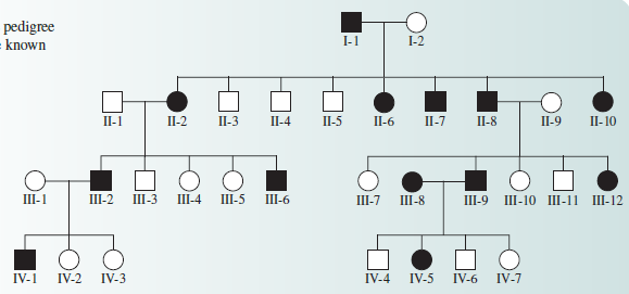 pedigree
known
I-1
I-2
П-1
П-2
П-3
II-4
П-5
П-6
П-7
П-8
II-9
П-10
III-1
III-2
III-3
III-4
III-5
Ш-6
Ш-7
III-8
Ш-9 Ш-10 IШ-11 Ш-12
IV-1
IV-2
IV-3
IV-4
IV-5
IV-6
IV-7
