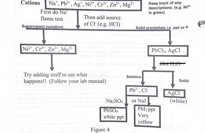 Cations
Na", Pb2, Ag*, Ni*, Cr³*, Zn²*, Mg*
First do Na"
flame test
Keep track of any
descriptions. (e.g. Ni3*
is green)
Then add source
Supernatant (solution)
of Cl (e.g. HCI)
Solid precipitate i.e. ppt or P
Ni2", Cr*, Zn2", Mg*
PbCl2, AgCl
Hot HO
Try adding stuff to see what
happens!! (Follow your lab manual)
Solution
Solid
Pb2+, Cl
AgCl
(white)
or Nal
Pbl2 ppt
Very
yellow
NazSO4
PBSO4
white ppt
Figure 4
