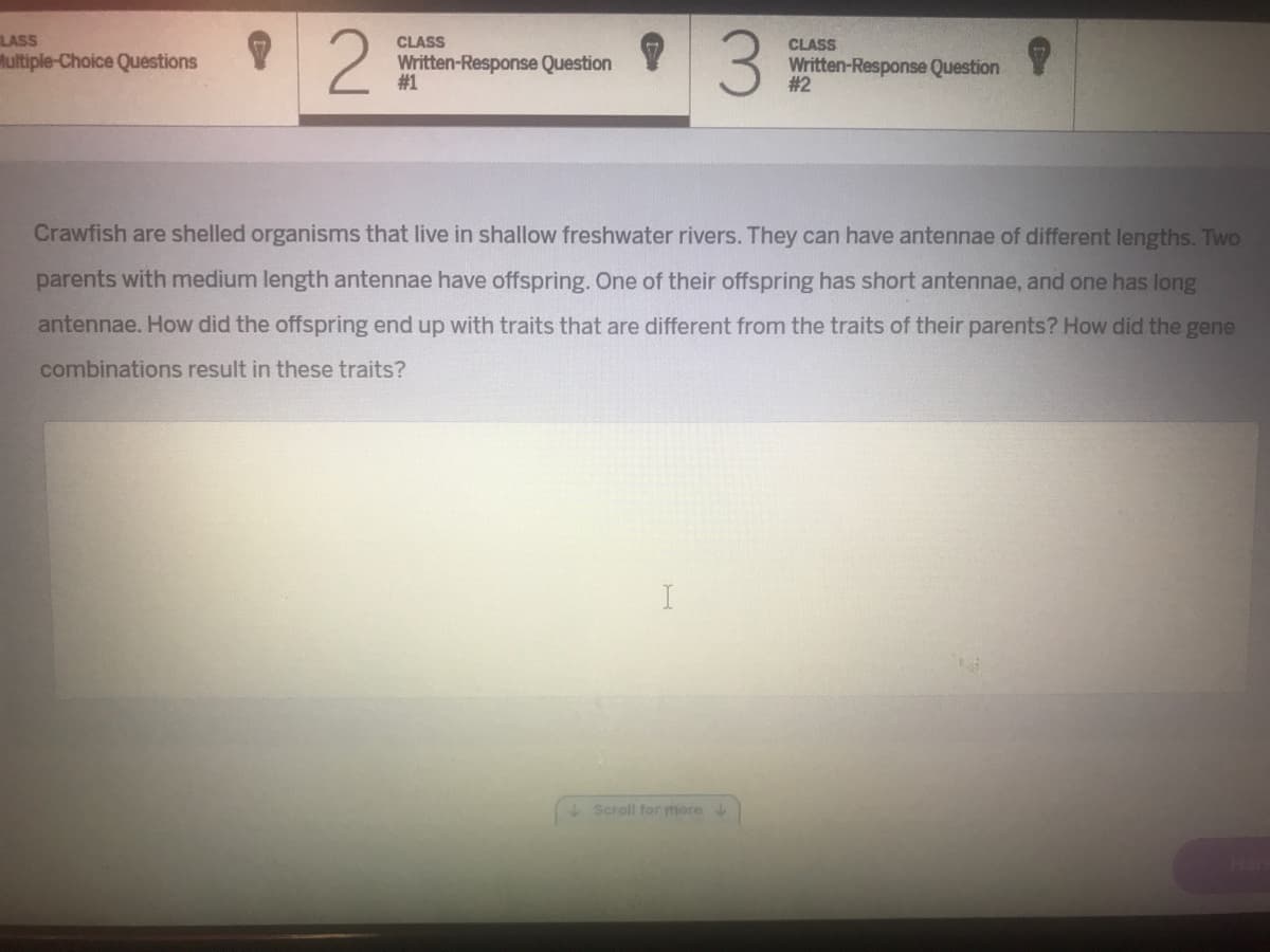 LASS
Multiple-Choice Questions
CLASS
CLASS
Written-Response Question
#1
Written-Response Question
# 2
Crawfish are shelled organisms that live in shallow freshwater rivers. They can have antennae of different lengths. Two
parents with medium length antennae have offspring. One of their offspring has short antennae, and one has long
antennae. How did the offspring end up with traits that are different from the traits of their parents? How did the gene
combinations result in these traits?
+ Scroll for more

