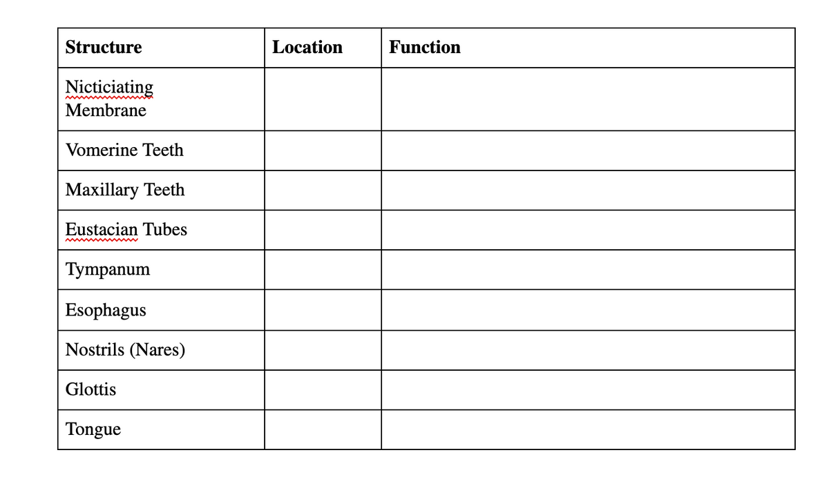 Structure
Location
Function
Nicticiating
Membrane
Vomerine Teeth
Maxillary Teeth
Eustacian Tubes
Tympanum
Esophagus
Nostrils (Nares)
Glottis
Tongue
