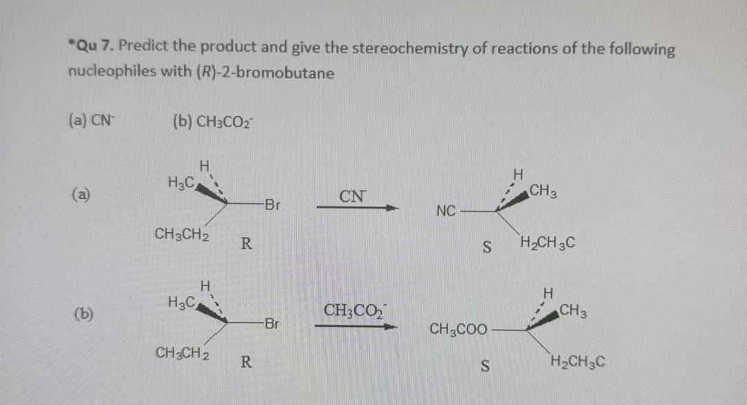 *Qu 7. Predict the product and give the stereochemistry of reactions of the following
nucleophiles with (R)-2-bromobutane
(a) CN-
(b) CH3CO2
H3C
H
H
CH3
CN
-Br
NC
CH3CH2
R
S
H2CH3C
H
H
H3C
CH3CO₂
CH3
-Br
CH3COO
CH3CH 2
R
S
H2CH3C