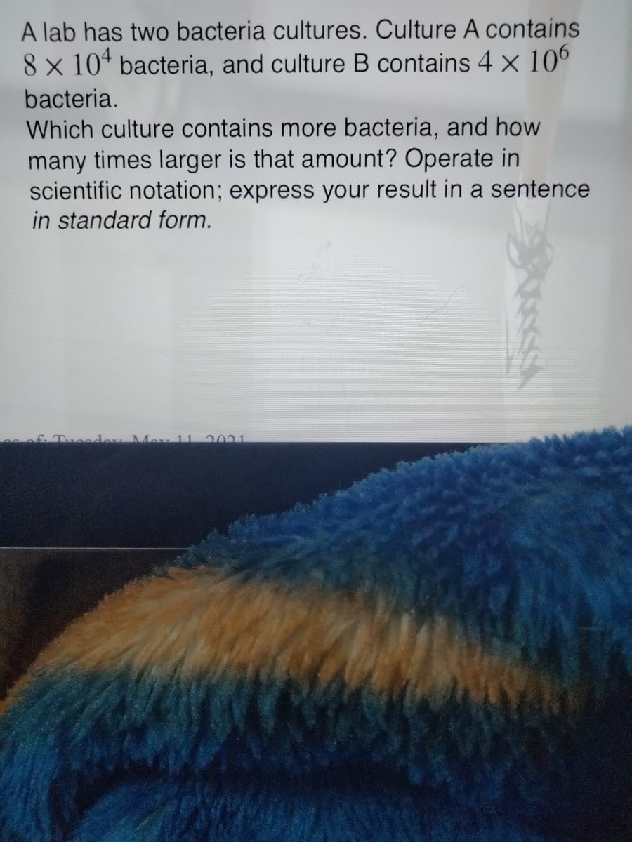 A lab has two bacteria cultures. Culture A contains
8 x 104 bacteria, and culture B contains 4 x 10°
bacteria.
Which culture contains more bacteria, and how
many times larger is that amount? Operate in
scientific notation; express your result in a sentence
in standard form.
f. Tueadeu Mou 11
2021
