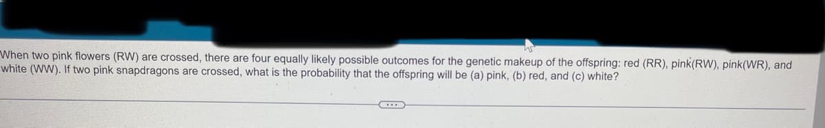 **Genetic Outcomes of Cross-Breeding Pink Snapdragon Flowers**

When two pink flowers (genotype RW) are crossed, there are four equally likely possible outcomes for the genetic makeup of the offspring. These outcomes are as follows:
- Red (RR)
- Pink (RW)
- Pink (WR)
- White (WW)

The question is: If two pink snapdragons are crossed, what is the probability that the offspring will be (a) pink, (b) red, and (c) white?

**Probability Calculation:**
To find the probability of each outcome, we need to consider the Punnett Square for the genetic cross between two RW flowers:
- RR: Red
- RW: Pink
- WR: Pink
- WW: White

Out of the four possible outcomes:
- There is 1 possibility of RR (Red).
- There are 2 possibilities of RW/WR (Pink).
- There is 1 possibility of WW (White).

Thus, the probabilities are:
- (a) Pink: \( \frac{2}{4} \) or 50%
- (b) Red: \( \frac{1}{4} \) or 25%
- (c) White: \( \frac{1}{4} \) or 25%