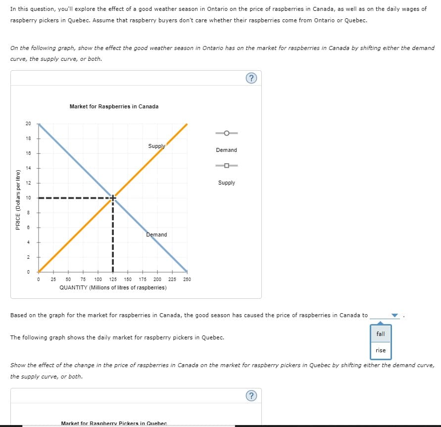 In this question, you'll explore the effect of a good weather season in Ontario on the price of raspberries in Canada, as well as on the daily wages of
raspberry pickers in Quebec. Assume that raspberry buyers don't care whether their raspberries come from Ontario or Quebec.
On the following graph, show the effect the good weather season in Ontario has on the market for raspberries in Canada by shifting either the demand
curve, the supply curve, or both.
Market for Raspberries in Canada
20
18
Supply
Demand
16
14
12
Supply
10
8
Demand
25
50
75
100
125
150
175
200
225
250
QUANTITY (Millions of litres of raspberries)
Based on the graph for the market for raspberries in Canada, the good season has caused the price of raspberries in Canada to
fall
The following graph shows the daily market for raspberry pickers in Quebec.
rise
Show the effect of the change in the price of raspberries in Canada on the market for raspberry pickers in Quebec by shifting either the demand curve,
the supply curve, or both.
Market for Rasnherry Pickers in Quebhec
co
2.
PRICE (Dollars per litre)
