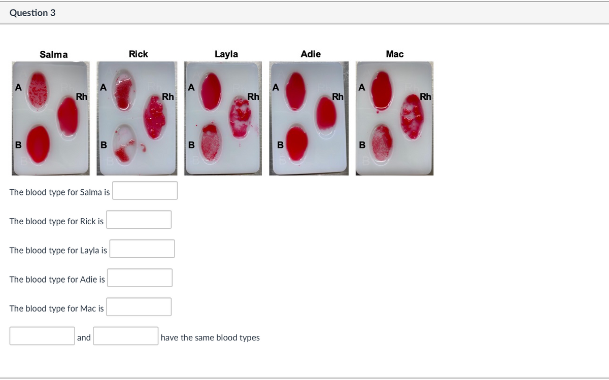 Question 3
Salma
Rick
Layla
Adie
Мас
A
Rh
A
Rh
Rh
Rh
Rh
B
B
B
B
B
The blood type for Salma is
The blood type for Rick is
The blood type for Layla is
The blood type for Adie is
The blood type for Mac is
and
have the same blood types
