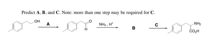 Predict A, B, and C. Note: more than one step may be required for C.
OH
A
NH3 , H*
NH2
в
ČO,H
