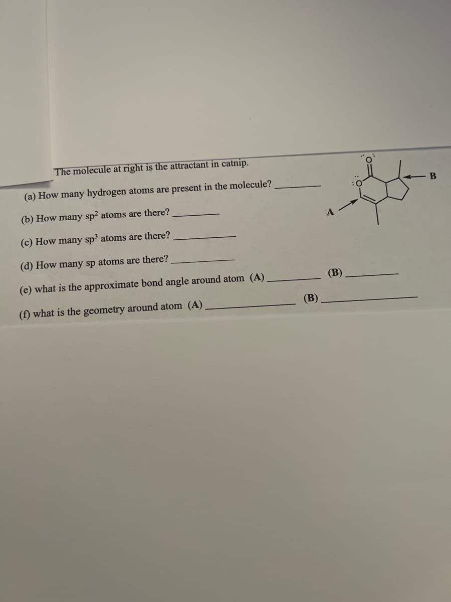 The molecule at right is the attractant in catnip.
(a) How many hydrogen atoms are present in the molecule?
(b) How many sp2 atoms are there?
(c) How many sp³ atoms are there?
(d) How many sp atoms are there?
(e) what is the approximate bond angle around atom (A)
(f) what is the geometry around atom (A)
(B)
A
(B)
B